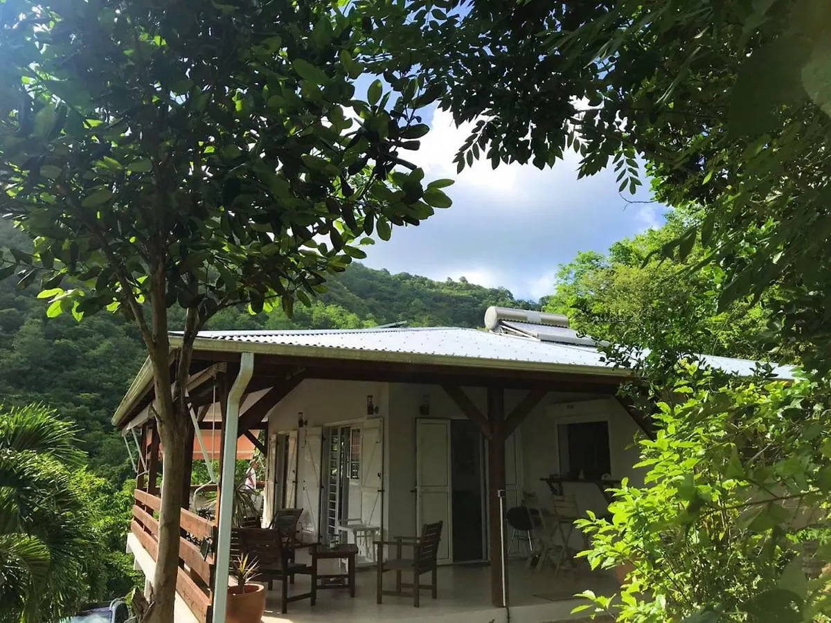 villa Philexiane Le Diamant Martinique